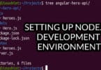 Setting Up Node.js Development Environment
