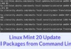 Linux Mint 20 Update all Packages from Command Line