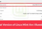 What Version of Linux Mint Am I Running?
