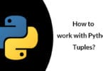 How to work with Python Tuples?